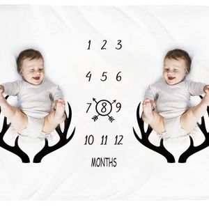 Twin Mile stone blanket